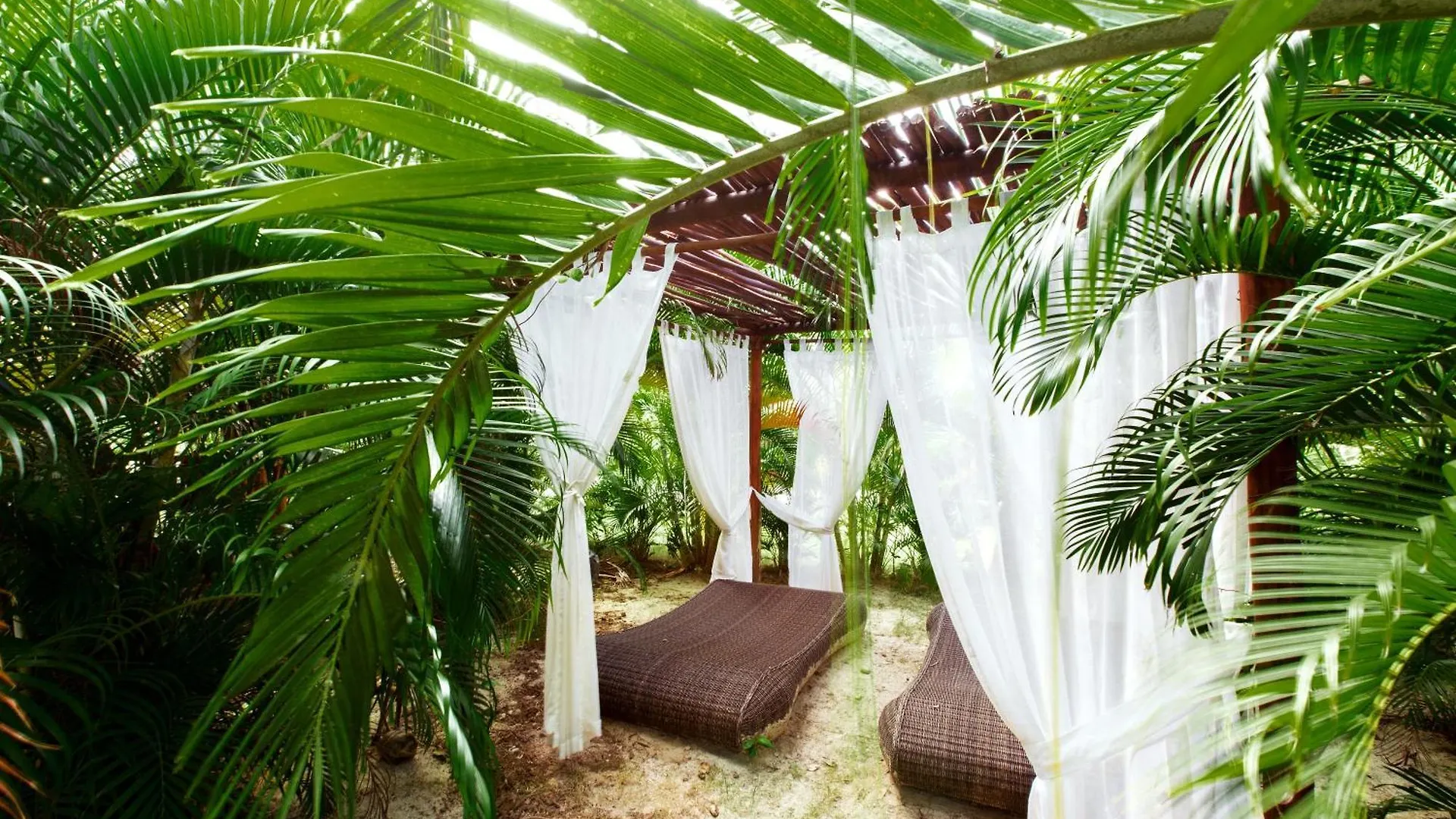 Tropicana Suites Deluxe Beach Club And Pool - Playa Los Corales Punta Cana 5*,  Dominican Republic