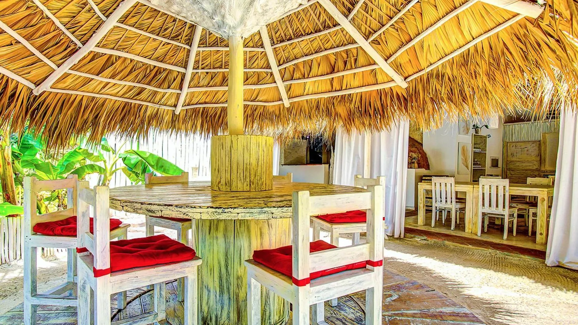 Tropicana Suites Deluxe Beach Club And Pool - Playa Los Corales Punta Cana 5*,  Dominican Republic