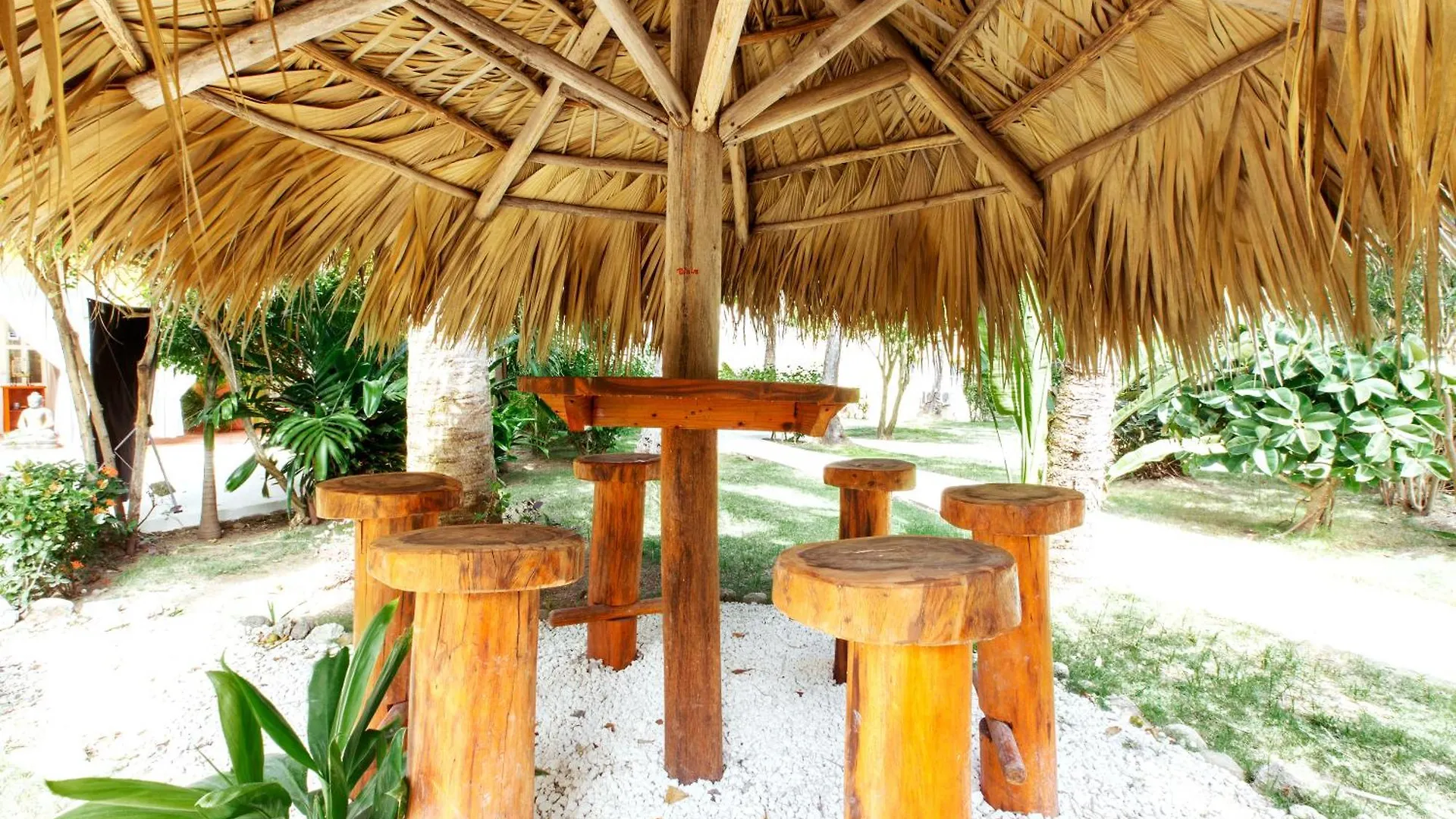Tropicana Suites Deluxe Beach Club And Pool - Playa Los Corales Punta Cana República Dominicana